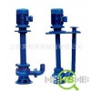 500YW2500-10-110 液下式排污泵