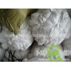 大量供应各种规格纯棉白碎布，布碎，吸水力好，不掉毛