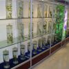 植物浸制标本馆建设_定制_生产厂家_维克科教供