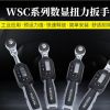 销售深圳台湾进口数显力矩扭力扳手多少钱价格艾尔玛供