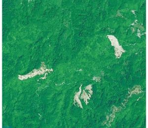 从三组卫星遥感图看生态保护成效